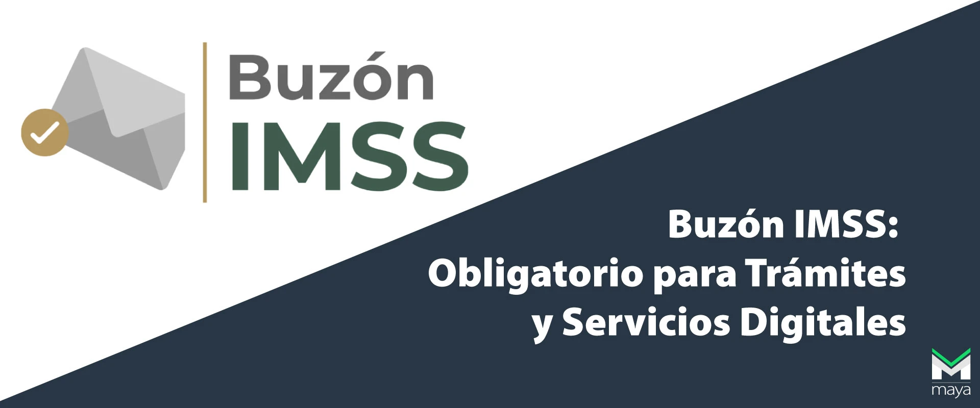 Buzón IMSS