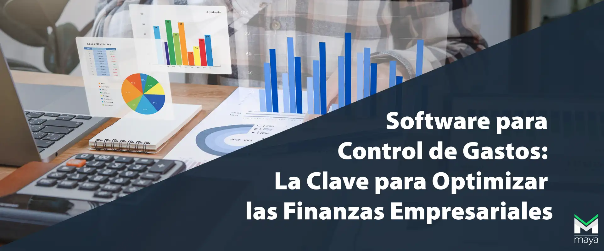 Software para Control de Gastos: La Clave para Optimizar las Finanzas Empresariales