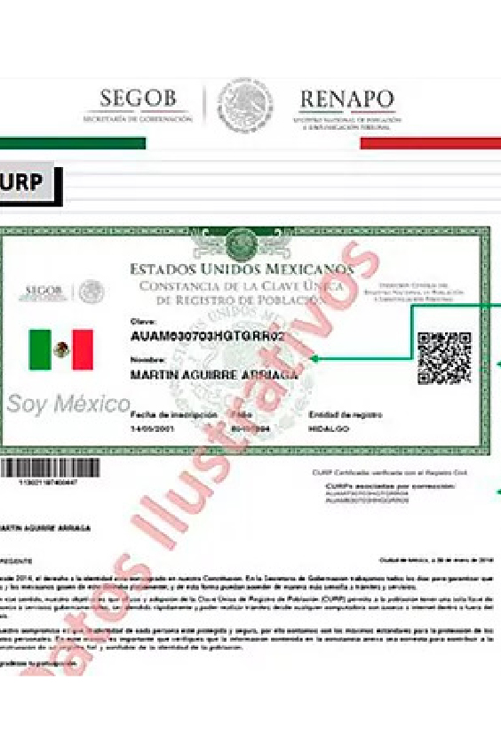 Nueva Curp Certificada 2022 • Innovación Y Creatividad Maya 7260